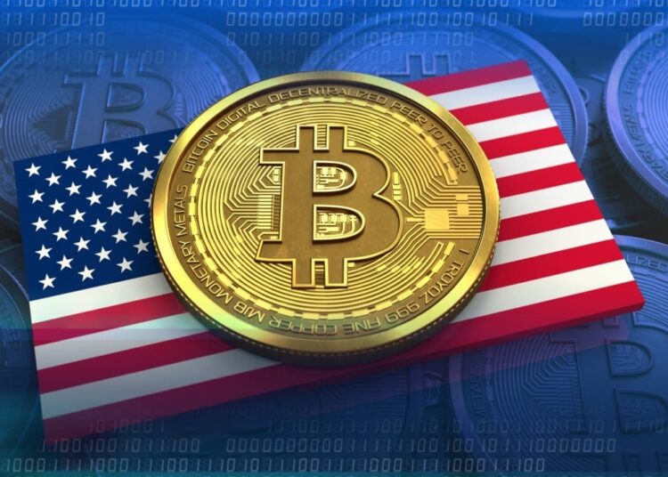 Study: US Leads Global Bitcoin Ownership With 14.3% Adoption Rate