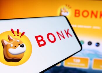 Solana Treasury Company DeFi Development Corp. Partners With BONK Memecoin to Launch Validator Node