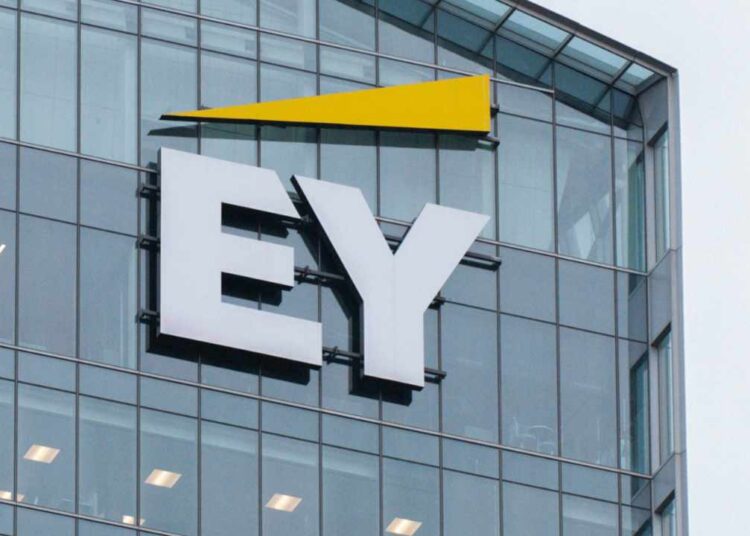 SEC’s Crypto Task Force Gets Crucial Input From EY