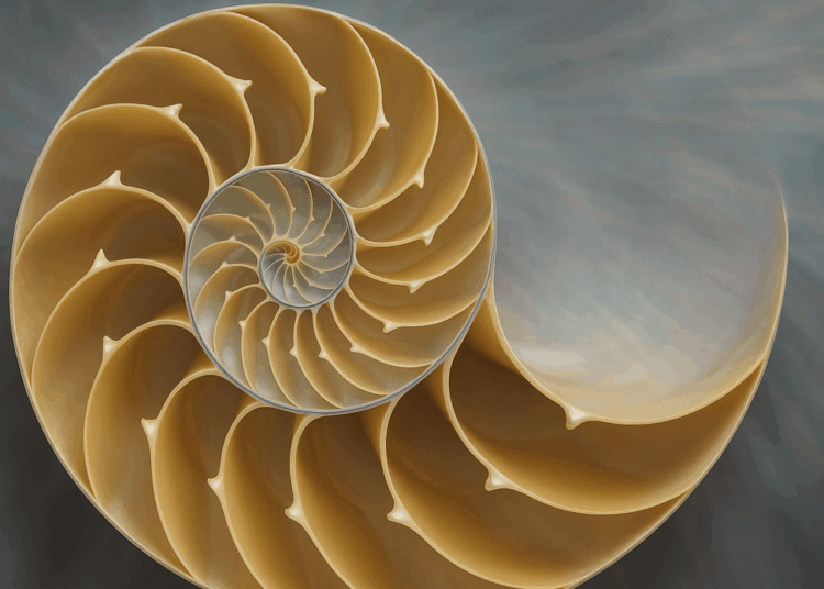 Fibonacci Retracement: A Trader’s Compass in the Bitcoin Market