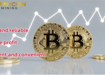 Easily Earn $8,000 a Day – Bitcoin (BTC) Holders Flock