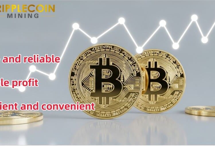 Easily Earn $8,000 a Day – Bitcoin (BTC) Holders Flock