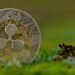 Ripple Launches First-of-Its-Kind $25M RLUSD Fund to Support US Education
