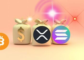 Can Solana and MAGACOIN FINANCE Trigger a 20,000% Cycle With XRP Gaining? Analysts Think So