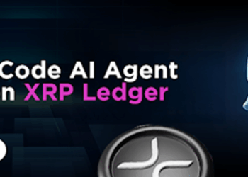 XRP Whales Focus Attention to Nimanode’s $NMA Token Presale