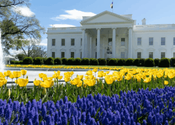 Crypto.com Expands US Presence With New DC Office Amid Trump’s Regulatory Shifts