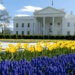 Crypto.com Expands US Presence With New DC Office Amid Trump’s Regulatory Shifts