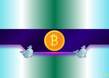 New Bitcoin Bull Run Incoming?