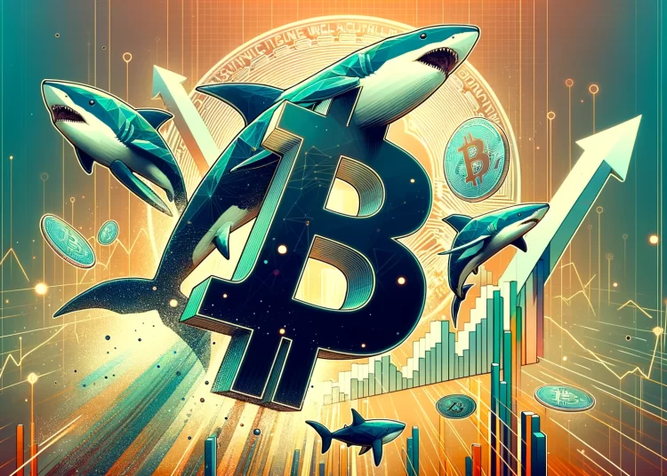 Bitcoin Whale Supply Hits 6-Year Lows—Will BTC Rally or Retreat?