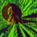 Financial Giant JPMorgan To Launch USD-Backed Deposit Token on Base As Coinbase’s Layer-2 Scaler Rolls Out Support for Cardano and Litecoin
