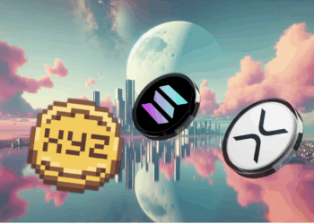 Bitcoin Hits $100K, Altcoins Surge: 3 Hidden Gems Set for 1,000x Gains!