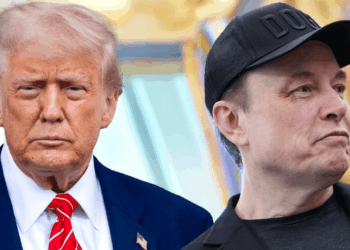 Prediction Market Frenzy: Musk-Trump War Fuels Bizarre Political Wagers