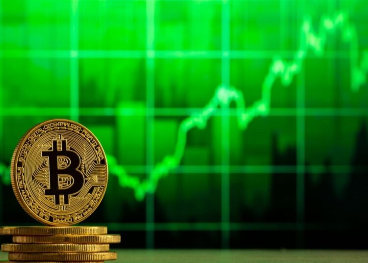 Bitcoin ETFs Post $216 Million Net Inflow as Blackrock Offsets Outflows From Fidelity and Ark 21shares