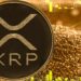 XRP Treasury Strategy by Vivopower Advances With Bitgo Support
