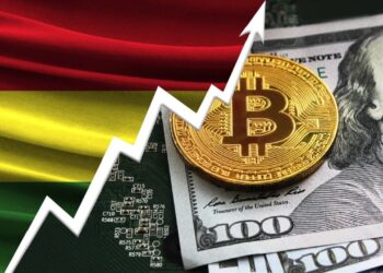 Central Bank of Bolivia Registers Record Use of Virtual Assets Amidst Dollar Scarcity