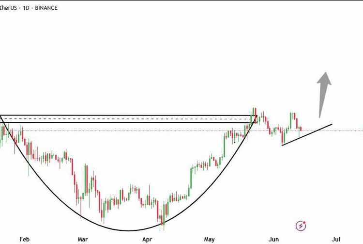 Japanese Firm Metaplanet Surpasses Coinbase With 10,000 BTC in Treasury Holdings