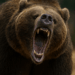 Bitcoin Price Watch: Caution Ahead as Momentum Weakens Below Key Levels