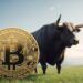 Robert Kiyosaki Doubles Down on $1M Bitcoin, Advises What Truly Matters About Owning BTC