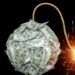 Tim Draper: US Dollar Going Extinct—Bitcoin Set to Dominate Retail