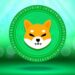 Shiba Inu Says Goodbye to Meme Status with Strategic Rollout