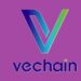 VeChain Stargate Goes Live July 1, Big VET Upgrade