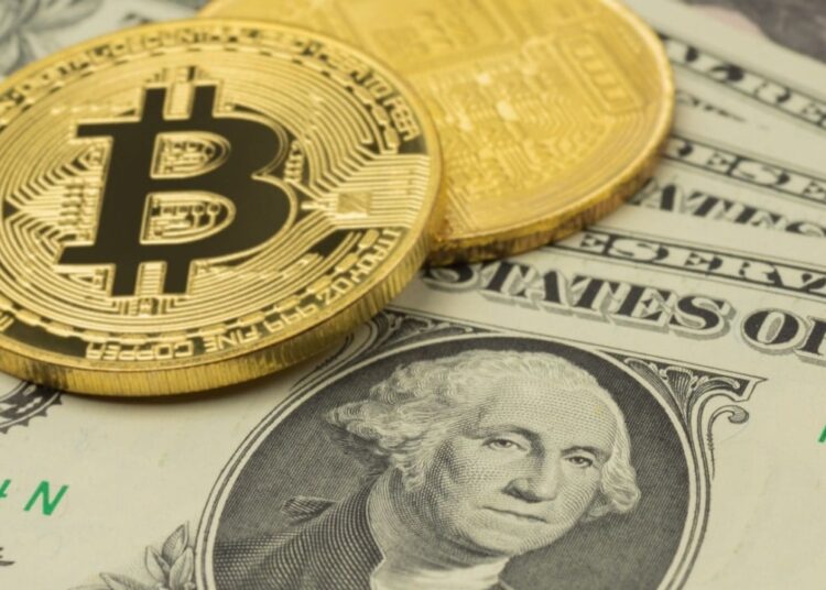 Willy Woo Predicts Bitcoin Market Cap Will Reach Global GDP Levels