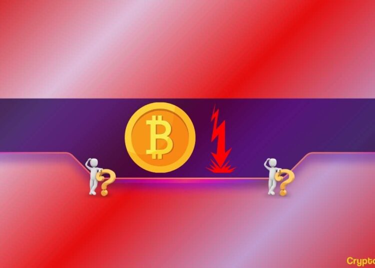 BTC Gains Near Climax? Peter Brandt Sounds the Alarm