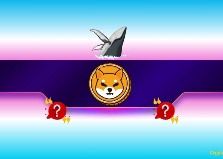 But Not in the Way You Might Think