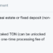 Toncoin Hits 19-Day High Following UAE Visa Offer for $100K in Staked TON