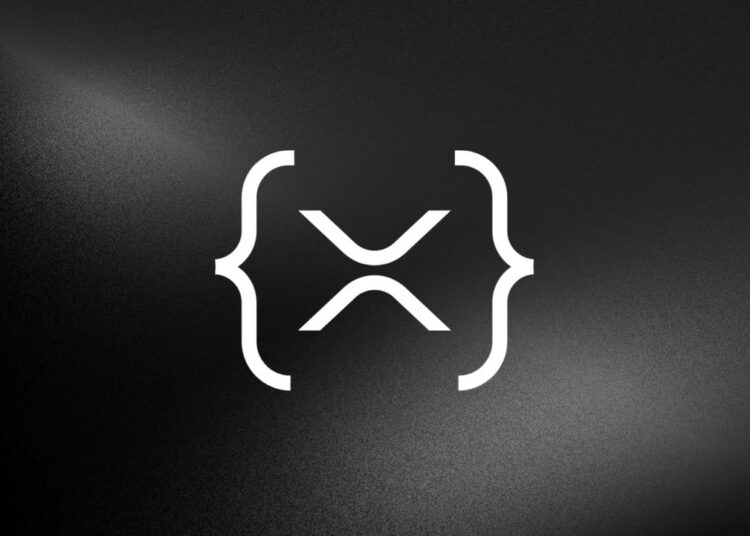 XRPL Accelerator Cohort 6 Launches—Here’s What These 9 Startups Are Building
