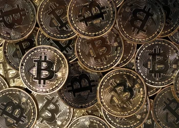 Bitcoin Whale Action Late June Reveals Potential Market Turning Point