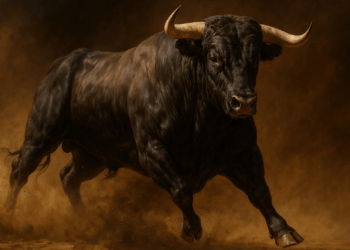 Bitcoin Futures Demand Grows as Options Market Bets on Rally