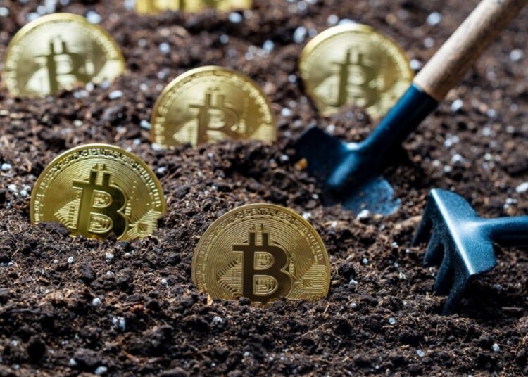 Adecoagro Partners With Tether to Pioneer Renewable Energy Use for Bitcoin Mining in Brazil