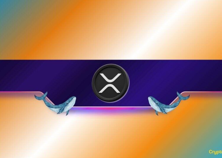 XRP Price Jumps 26% Weekly as Whale Moves in: $3 Breakout Ahead?