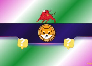 2 Reasons Why the Shiba Inu (SHIB) Price Might Rally Soon
