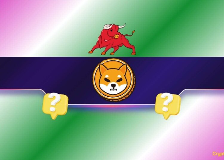 2 Reasons Why the Shiba Inu (SHIB) Price Might Rally Soon