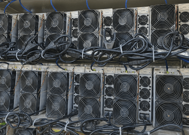 Inside the Powerhouse: The 50 Most Profitable Bitcoin Miners, Aug. 9-10, 2025