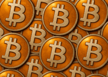2025 YTD: Fewer Bitcoin Transfers, Far Lower Fee Share Versus 2024