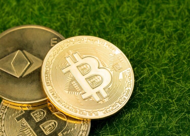 Bitcoin and Ether ETFs Surge With $503 Million Inflows as Recovery Momentum Builds