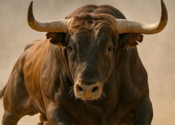 Bitwise CIO Sees 3 Bullish Crypto Opportunities With Massive Upside Ahead