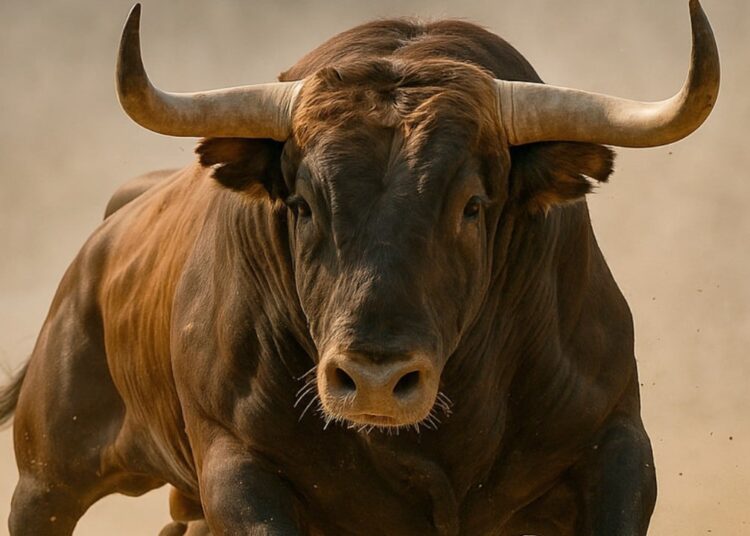 Bitwise CIO Sees 3 Bullish Crypto Opportunities With Massive Upside Ahead