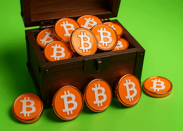 Bitcoin Treasury Firm Satsuma Raises $218M in Oversubscribed Round