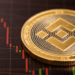 BNB Joins USDe’s Backing, XRP and HYPE Next in Line