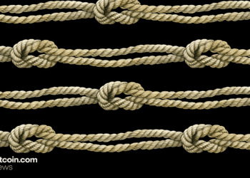 From Peak to Plunge: Bitcoin Knots Loses Nearly a Third of Its Nodes Since Sept. 14