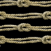 From Peak to Plunge: Bitcoin Knots Loses Nearly a Third of Its Nodes Since Sept. 14