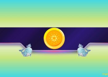 Is Cardano Poised for a Price Pullback?