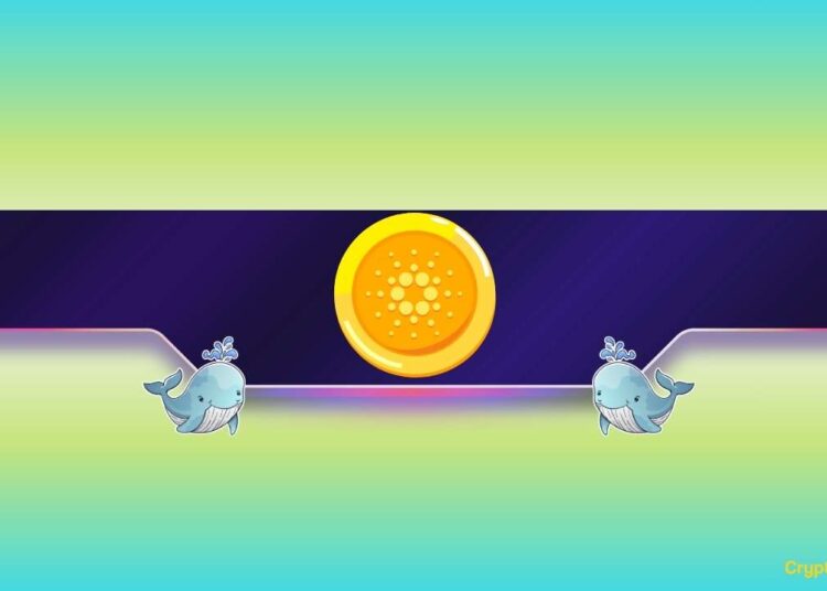 Is Cardano Poised for a Price Pullback?