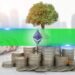 Ethereum Sees High On-chain Activity Amid Rising Institutional Adoption: CryptoQuant