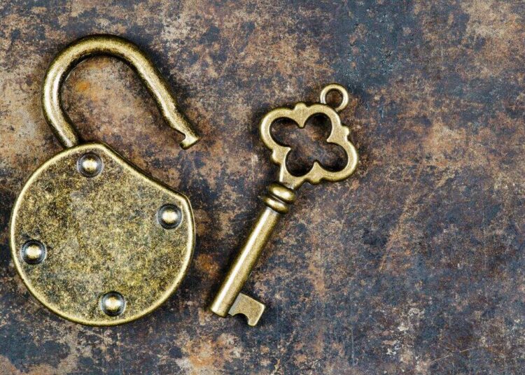 APT, SOL, TRUMP Lead the Pack