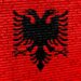 Albania Puts AI Assistant in Charge of Public Procurement